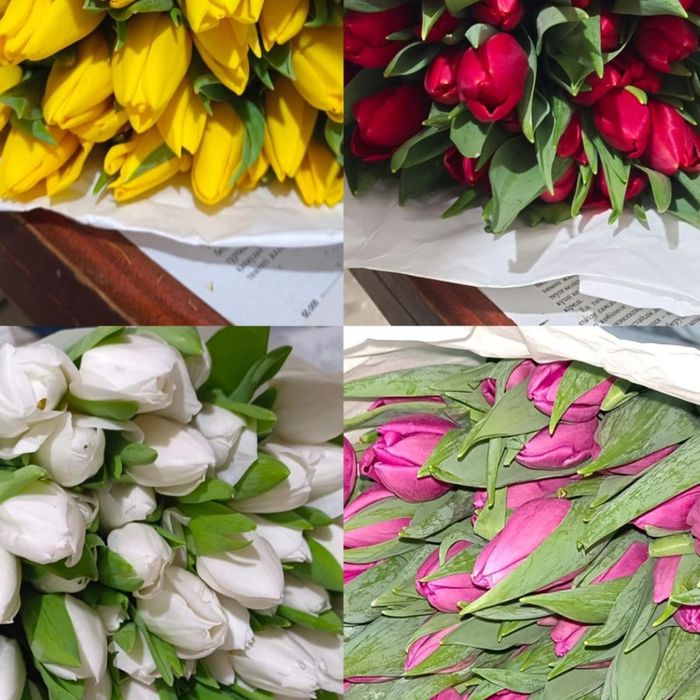 Бронирование тюльпанов