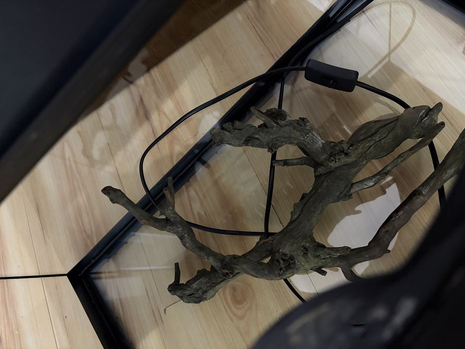 Acvariu diversa 54 l