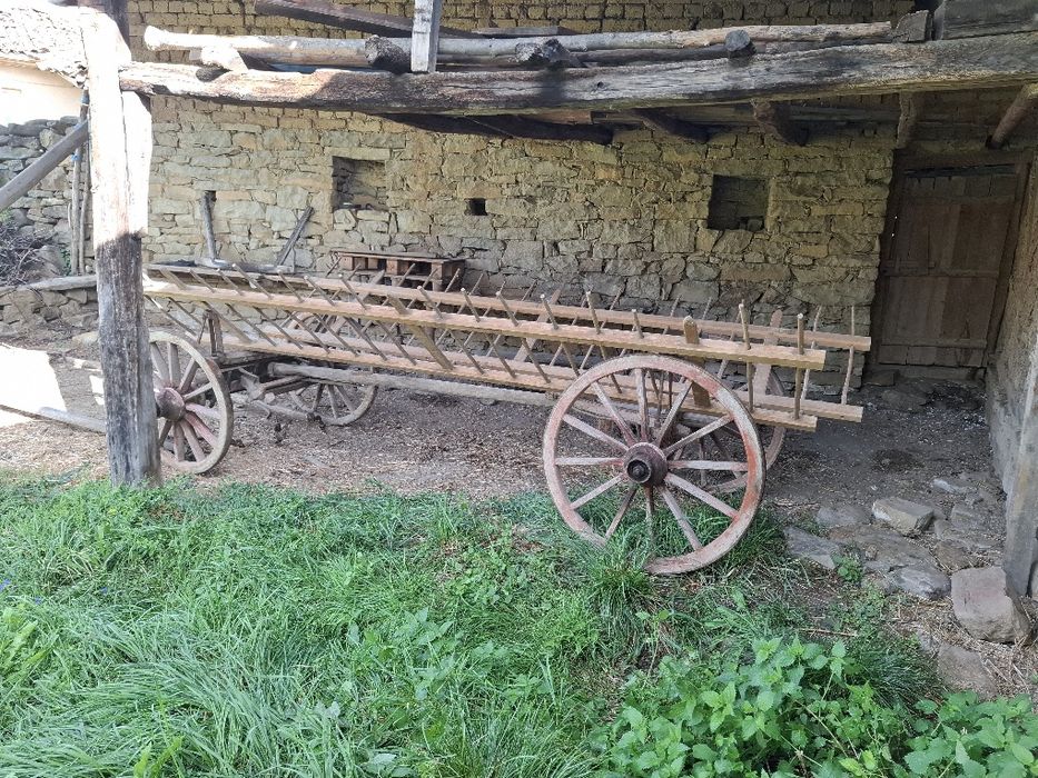 Конска каруца за конска.