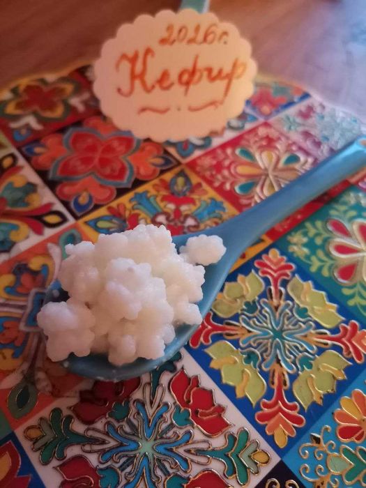 Кефир ~ зърна от кефир