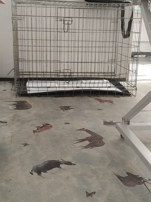 Cusca Custi Plianta Pliabila Pliabile Pliante Caini Pisici Animale Transport Sau Cabinet Veterinar