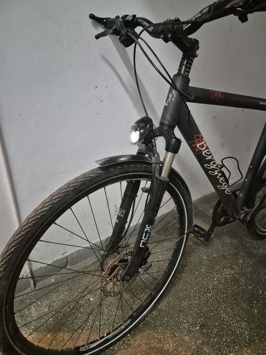 Bicicleta Berner Bergziege - Alfine11