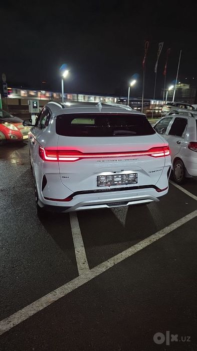 BYD Champion Hybrid 2024