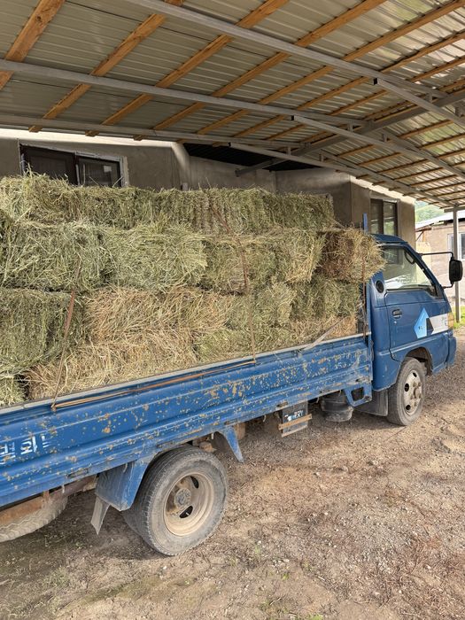 Сено в тюках разнотравье