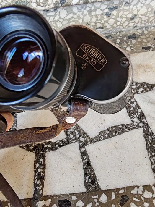 Binoclu Carl Zeiss Jena DELTRINTEM 8X30