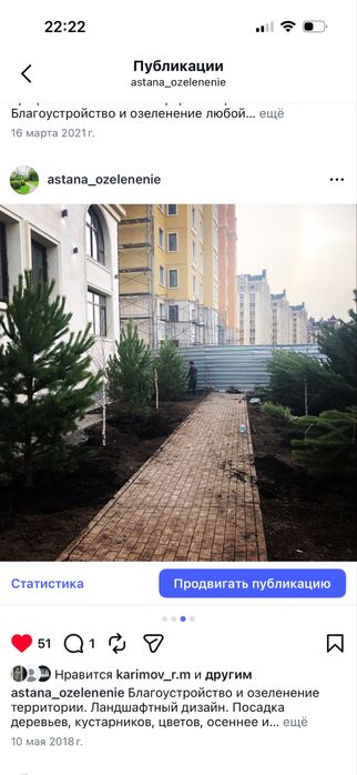 Озеленение посадка деревьев