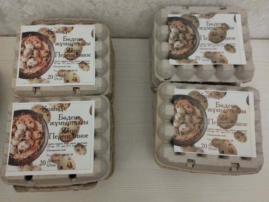 Бөдене (перепилинное) жұмыртқасы