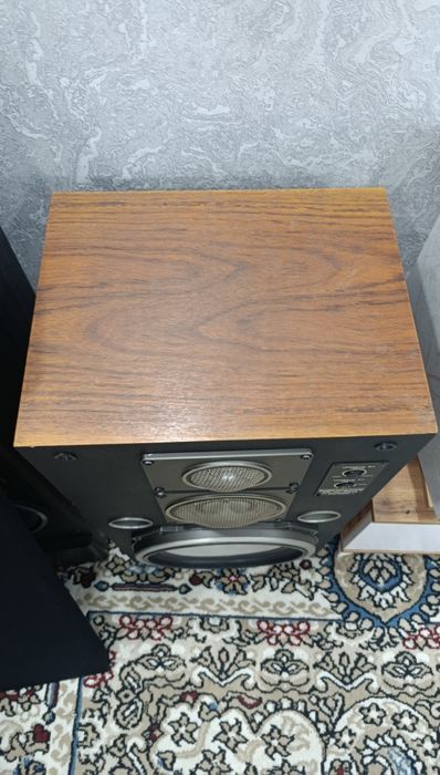 Колонки электроника 50 ас 061 м