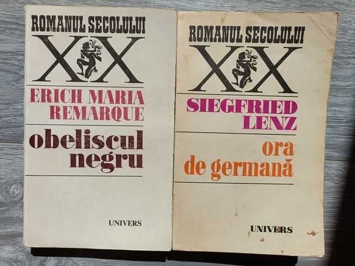 Romanul sec. XX 2 vol.