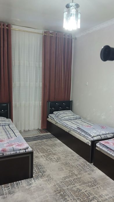 Ойло ва улфатлар дам олиш учун дача чарвак бочка отрофида.