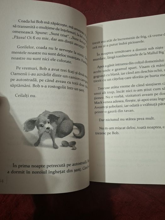 Cartea " Ivan cel fără de seamăn"