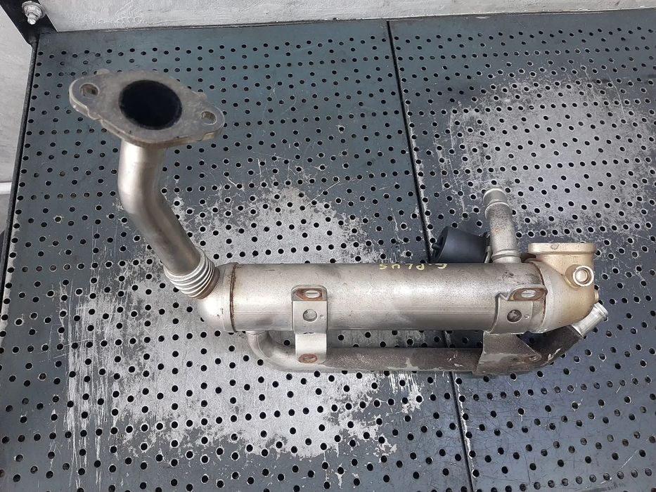 racitor gaze 1.9 tdi bls audi a3 8p seat altea ibiza toledo skoda fabia vw golf 5 plus  passat  03g131512ad