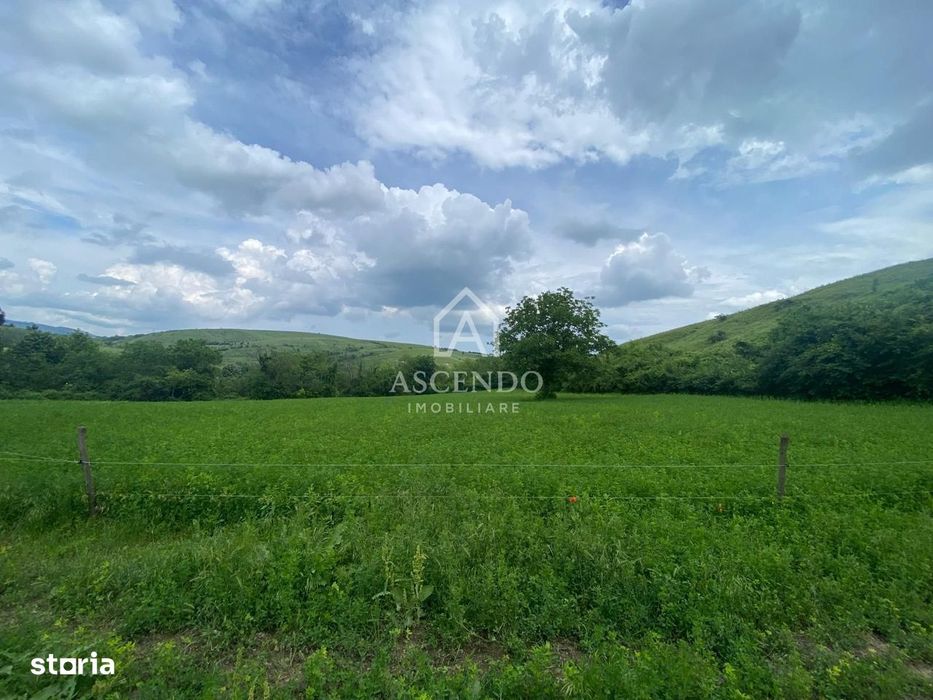 Domeniu 15.900 mp în Fințești | Casă + Investiție Dealu Mare