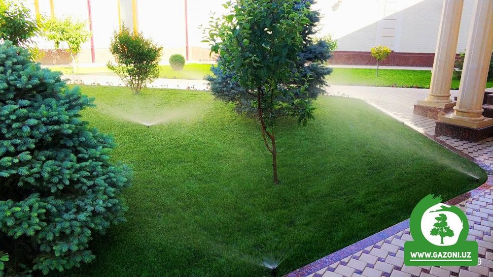 Gazon va gazon posish