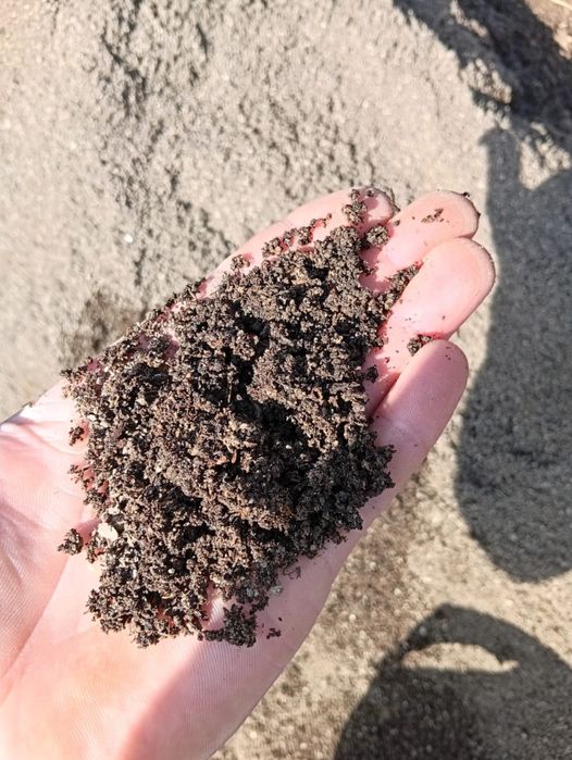 Биогомус сайрам номер 1