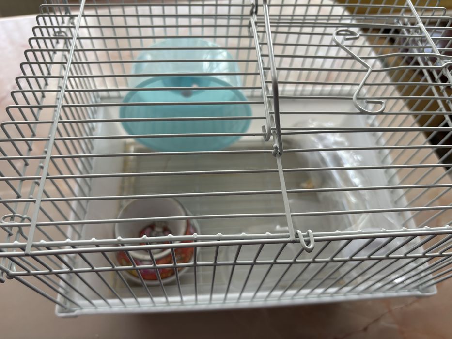 Cusca hamster , colivie , cusca