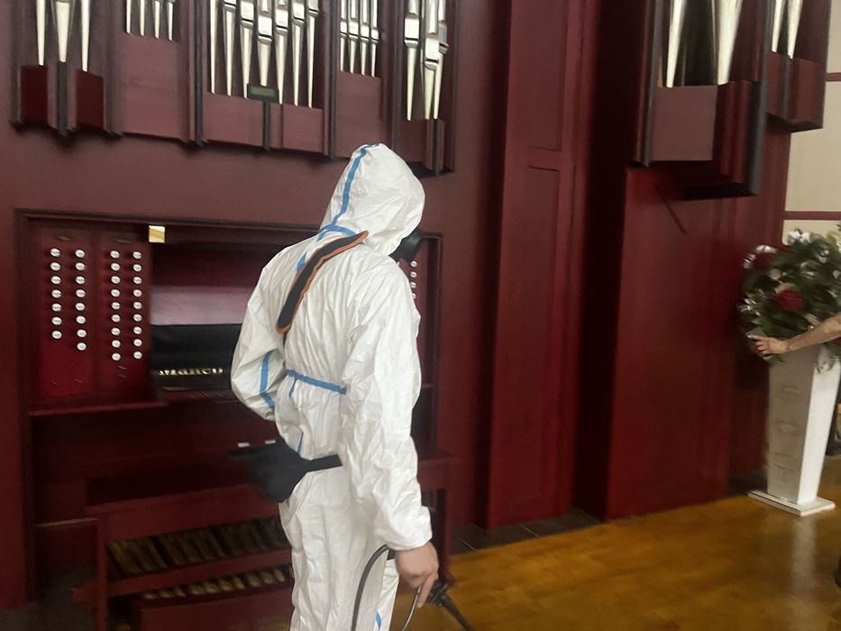 Дезинфекция уничтожение всех видов насекомых и грызунов