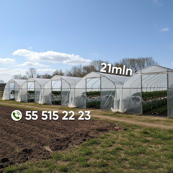 Koreya issiqxonalari va issiqxona uchun materiallar