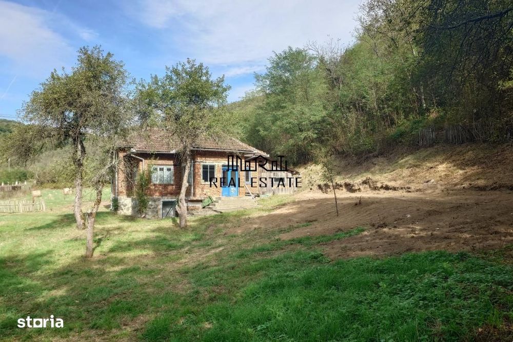 Teren, padure si casa in Dumbrava de Jos, jud. Hunedoara