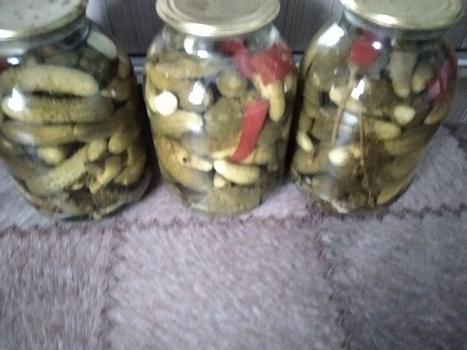 Соленые маринованные огурчики