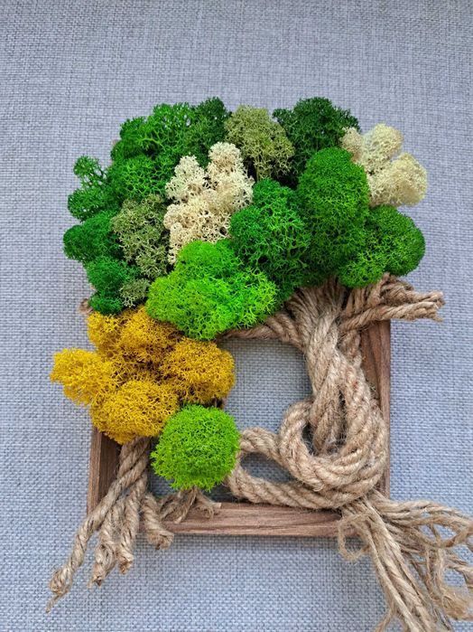 Декоративни пана със скандинавски мъх.