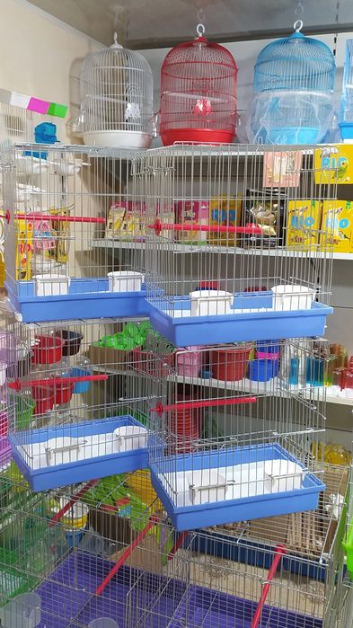 Большой выбор клеток для птиц