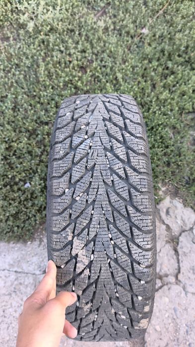 Продам Торусы,R14