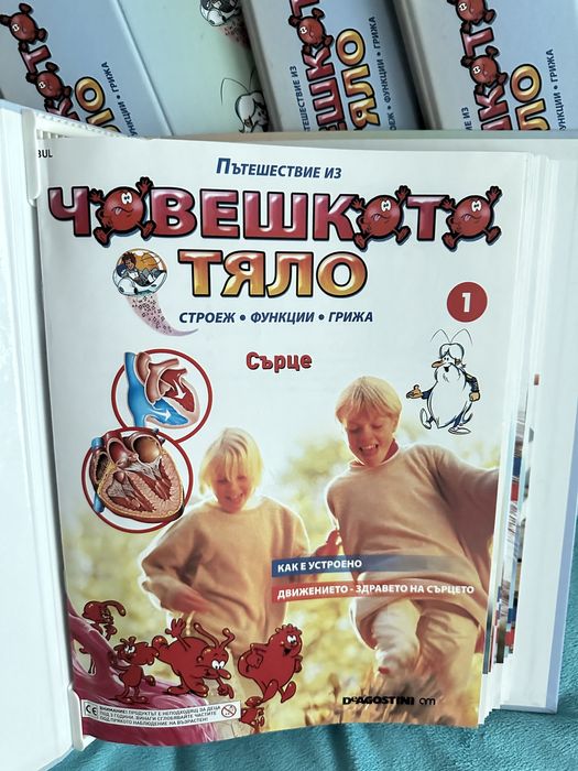 Колекция Човешкото тяло, Деагостини