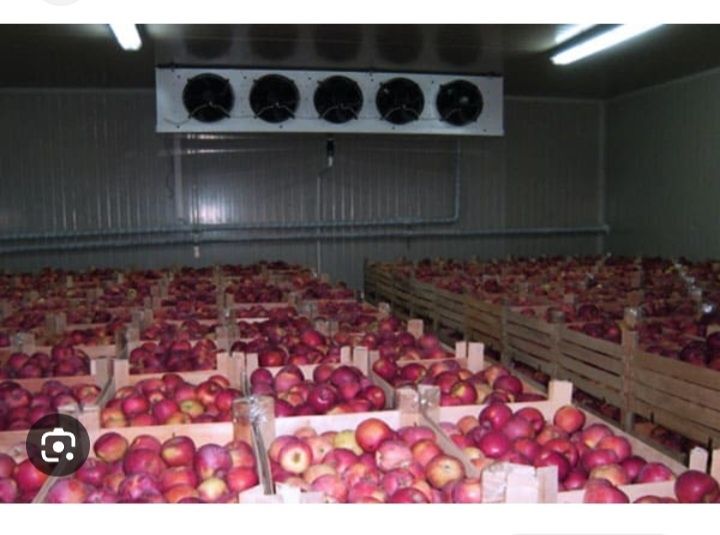 Холодильное оборудование