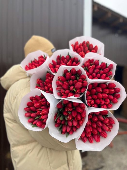 Тюльпан!!!Цветы!!!Шымкент!!!