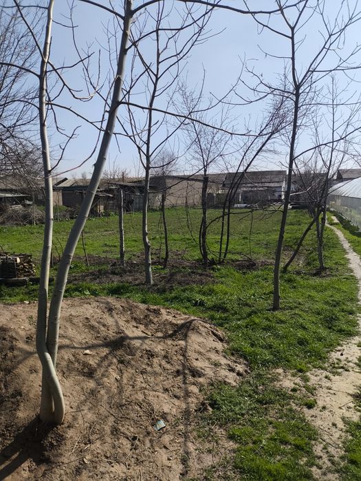 Hovli Sotiladi 15 sotih Gaz suv svet wi fi bor Fasad 21 m uzunligi 80