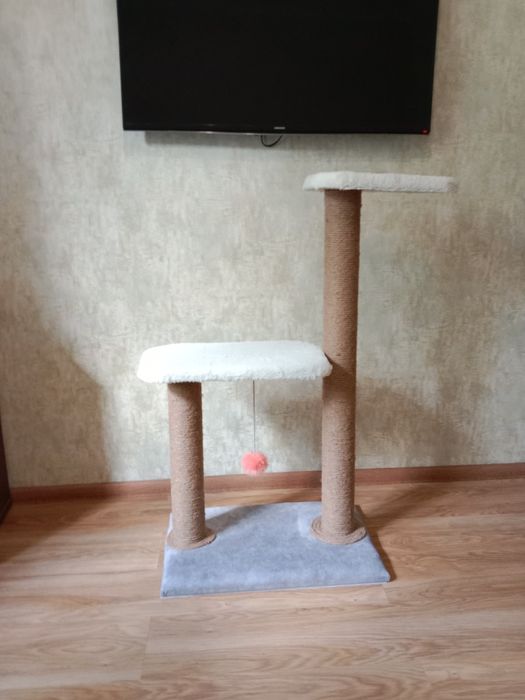 Когтиточку  для кошек