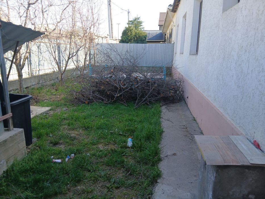 Отын кімге керек  тегін