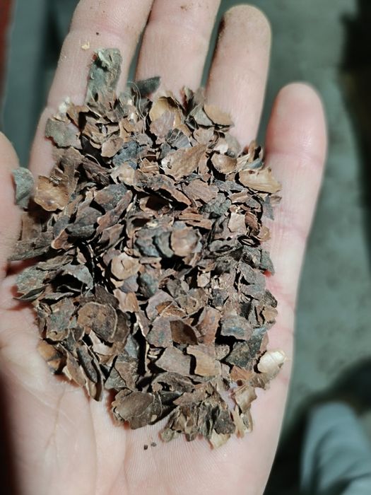 Кокао мульча (шулуха)