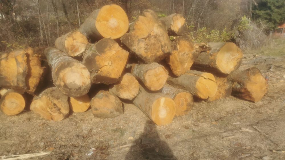 Cherestea, căpriori, grinda rășinos și fag orice dimensiune