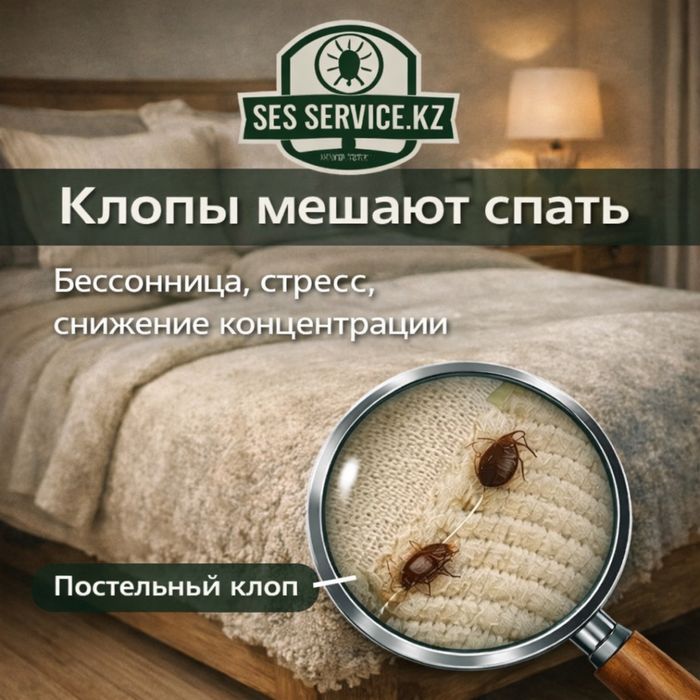 СЭС | Профессиональная дезинфекция квартир