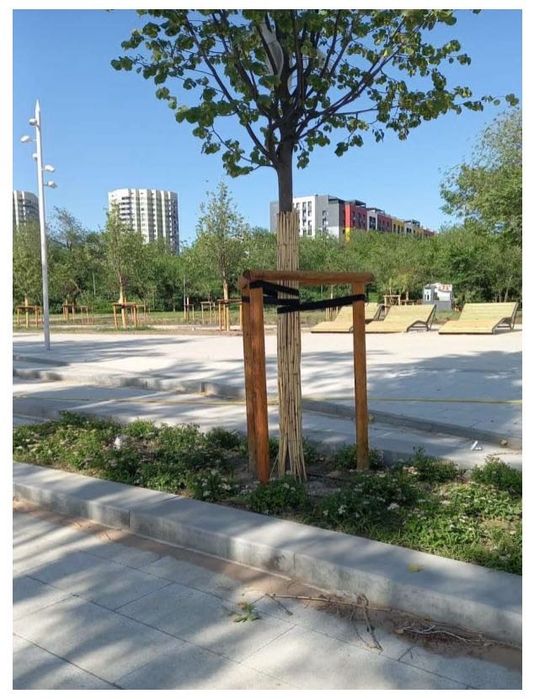 Деревянные круглые колья