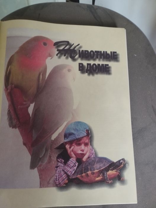 Большая энциклопедия дома и семьи