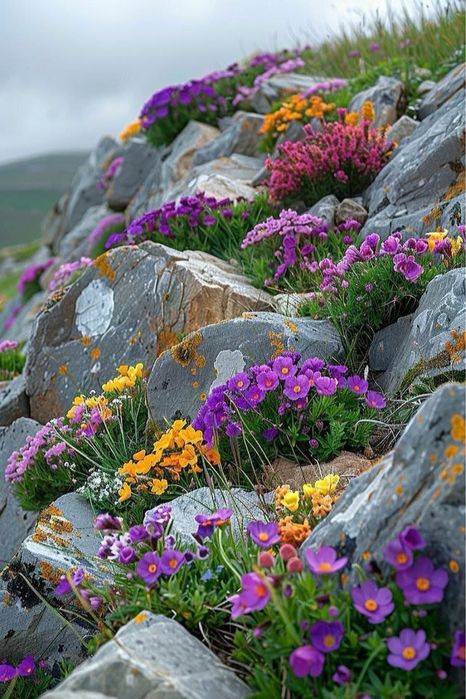 Математика & физика репетиторы