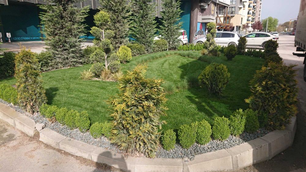 Цялостно изграждане на градини,Тревен чим,Нап. системи,Профи Поддръжка