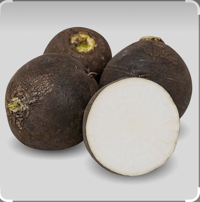 Продаю черную редьку