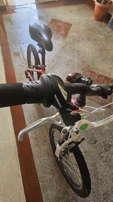 Bicicleta pentru fetite EDITIE LIMITATA