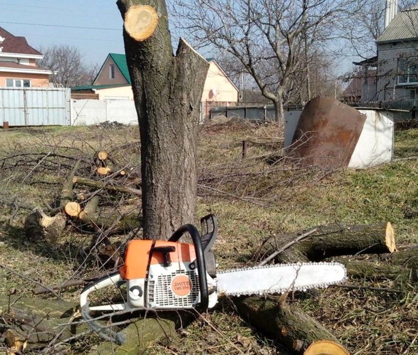 Спил деревьев, Обрезка, Дарахт кесиш, Садовник, Богбон, хизматлари.
