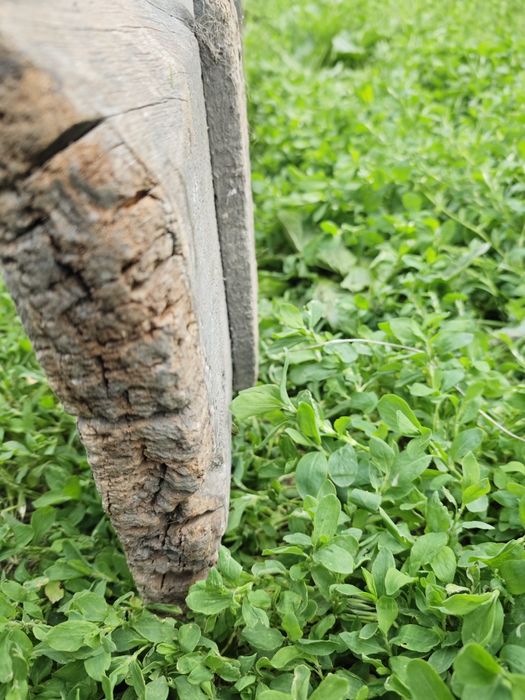 Доска, Сидушка для лавки, скамейки