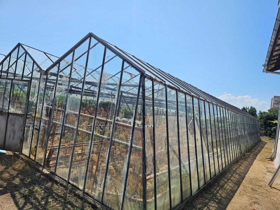 Продава се стъклена оранжерия
