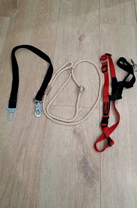 Lesa, ham si centura de masina pentru câine