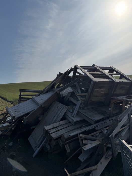 Vand lemn brad pentru constructii