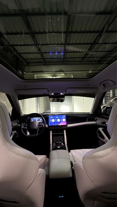 BYD yuan up 2024