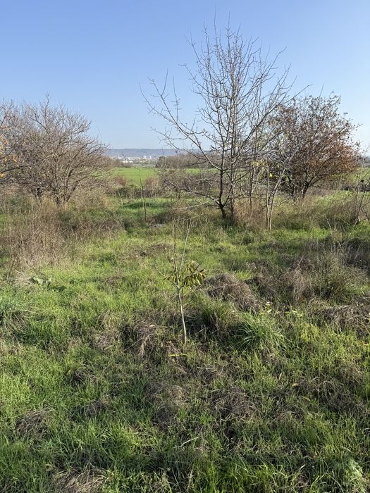 Продава се Парцел в с. Тополи, Област Варна - 9500 кв.м за 16 €/кв.м - Снимка #5