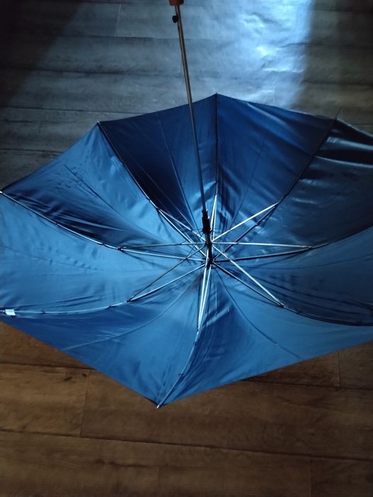 Зонт синий. От дождя и жары.